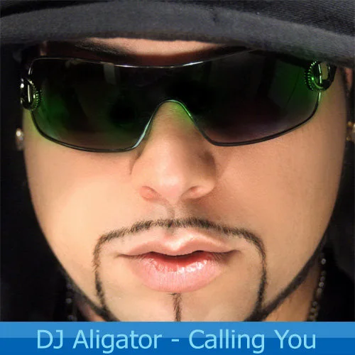 Aligator - Calling You