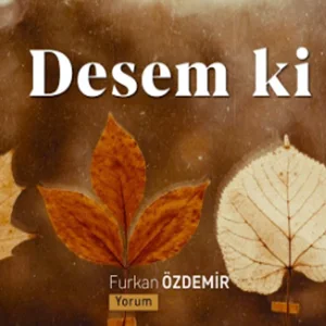 Furkan Özdemir - Desem ki (Cahit Sıtkı Tarancı)
