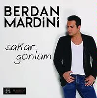 Berdan Mardini - Olsun (Karaoke)
