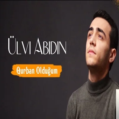 Ülvi Abidin - Duygularım