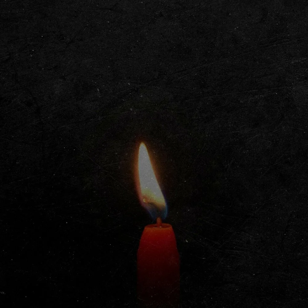 Arman Garshasbi - Koja Gorizam