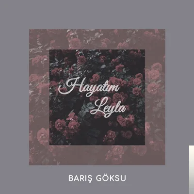 Barış Göksu - Özür Dilerim