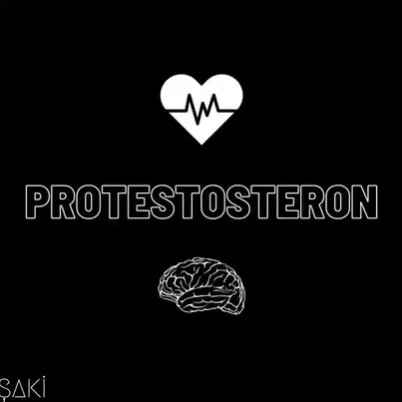 Şaki - Protestosteron