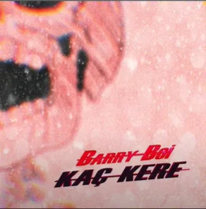 Barry Boi - Düşmeden Olmaz