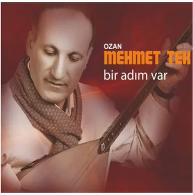 Ozan Mehmet Tek - Dıne
