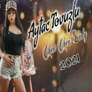 Aytaç Tovuzlu - Qelb Otagi