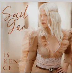 Seçil Gür - İşkence