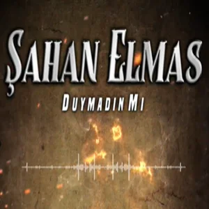 Şahan Elmas - Vay Halıma