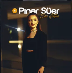Pınar Süer - Sen Gittin