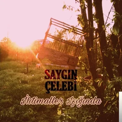 Saygın Çelebi - İhtimaller Işığında