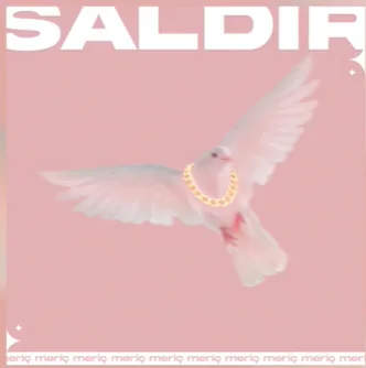Meriç - Saldır