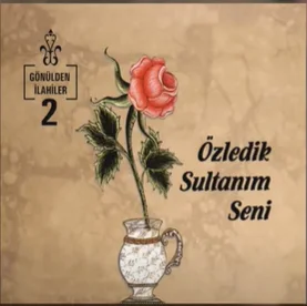 Kadiriler İlahi Grubu - Seyyah Olup