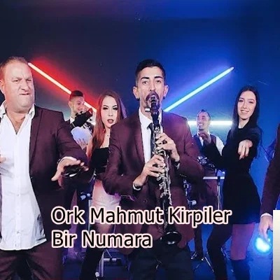 Ork Mahmut Kirpi - Selfi Selfi
