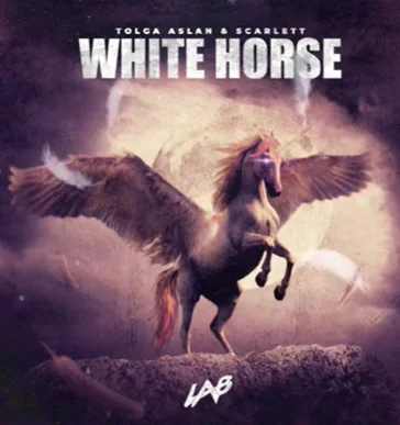 Tolga Aslan - White Horse (feat Scarlett)