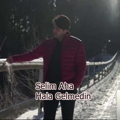 Selim Aha - Kokusu Gelir