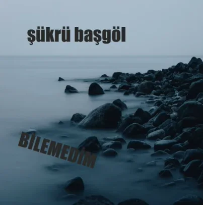 Şükrü Başgöl - Bilemedim
