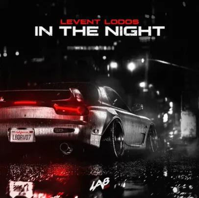 Levent Lodos - In the Night