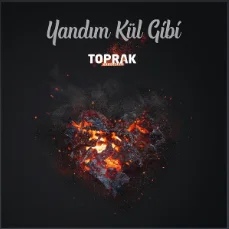 Toprak Kardeşler - Usandım