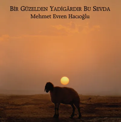 Mehmet Evren Hacıoğlu - Çifte Kuburları Çaktım Almadı