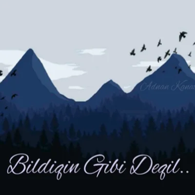 Asena İrmikçi - Bir Ateşe Attın Beni