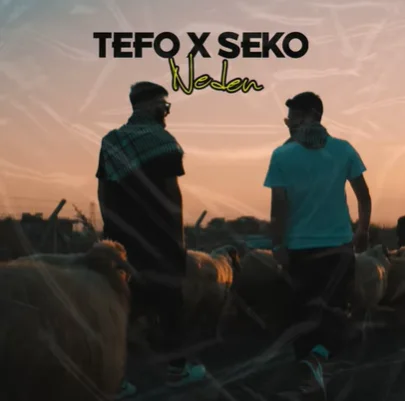 Tefo - Neden (feat Seko)