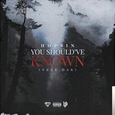 Hopsin - Picasso