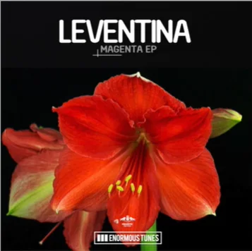 Leventina - Space Control