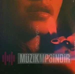 Anıl Kaplanoğlu - Okyanus