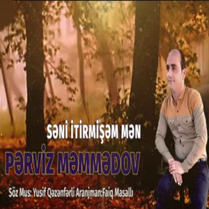 Perviz Memmedov - Seni İtirmişem Men