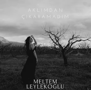 Meltem Leylekoğlu - Aklımdan Çıkaramadım