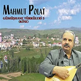 Mahmut Polat - Halimem