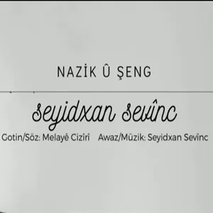Seyidxan Sevinç - Nazik u Şeng