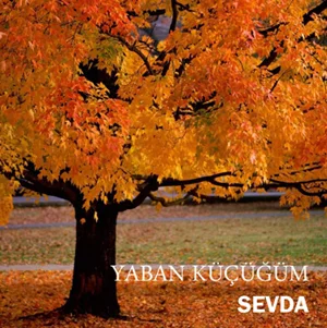 Sevda - Seni Seviyorum