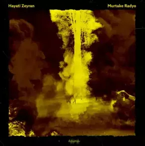 Hayati Zeyran - Hep Seni Düşündüm