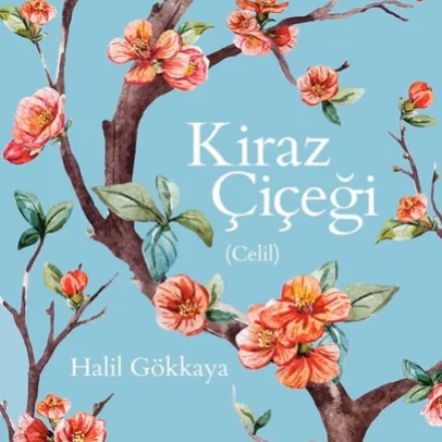 Halil Gökkaya - Akşamdan Akşama