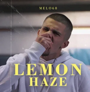 Melo68 - Grau