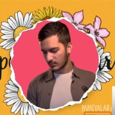 Saffet Soykal - Papatyalar