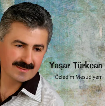 Yaşar Türkcan - Güzeller