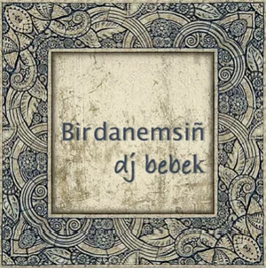 Dj Bebek - Tek Seni Sevecem