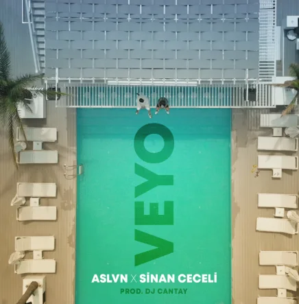 ASLVN - feat Sinan Ceceli-Veyo