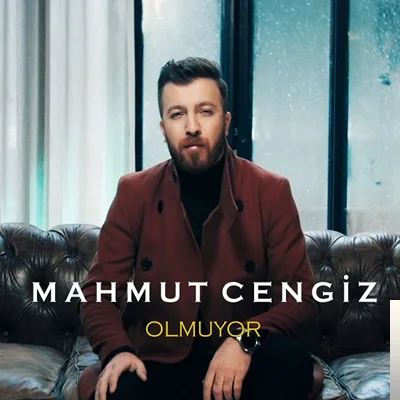 Mahmut Cengiz - Olmuyor