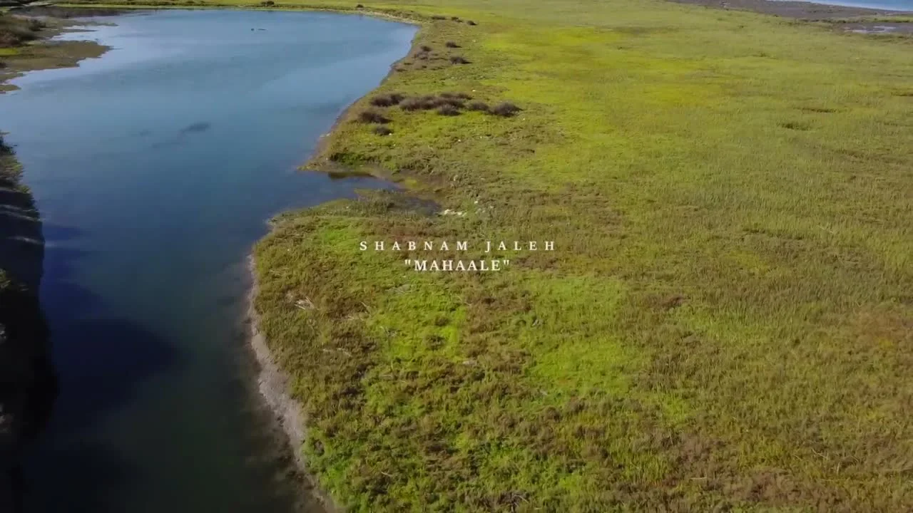 Shabnam Jaleh - Mahaale